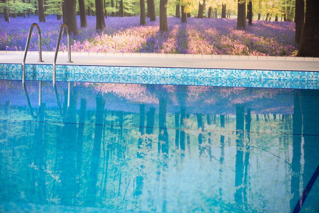 Forest Lodge Hotel 린드허스트 외부 사진