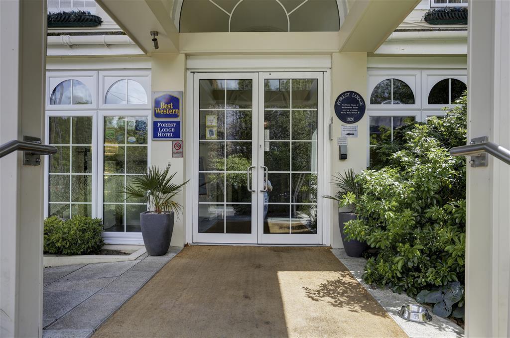 Forest Lodge Hotel 린드허스트 외부 사진